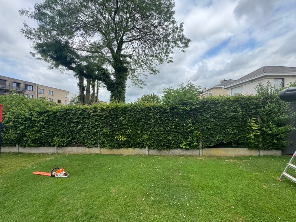 Jardin avant intervention