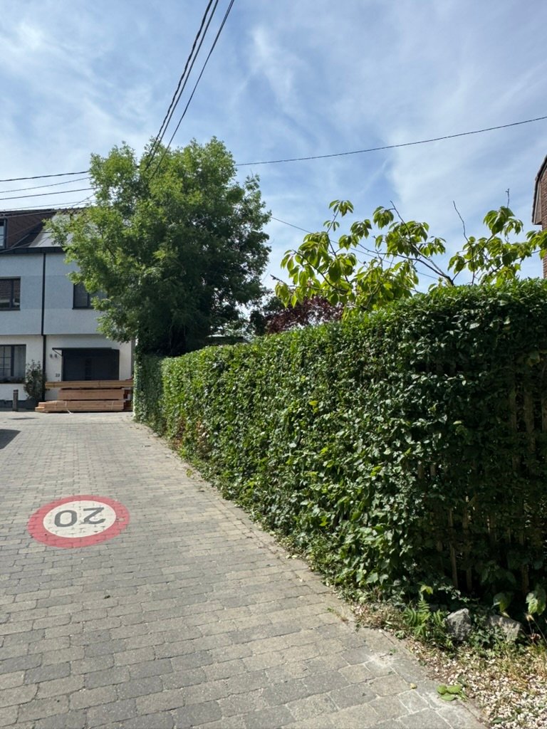 Après, Taille de haie