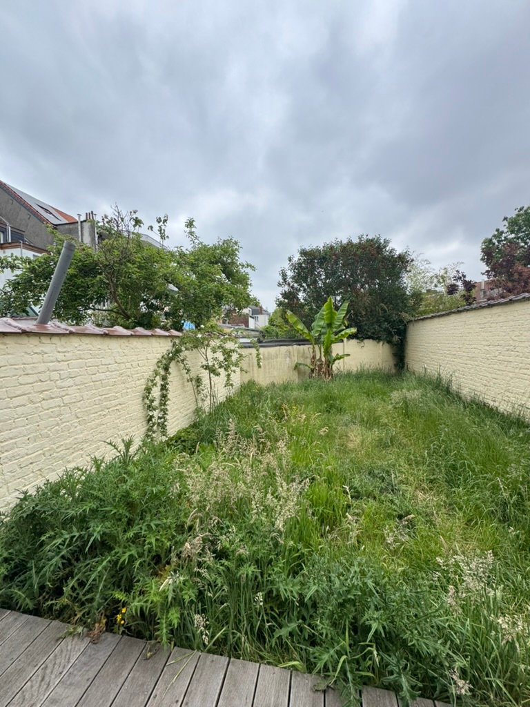 Jardin avant intervention