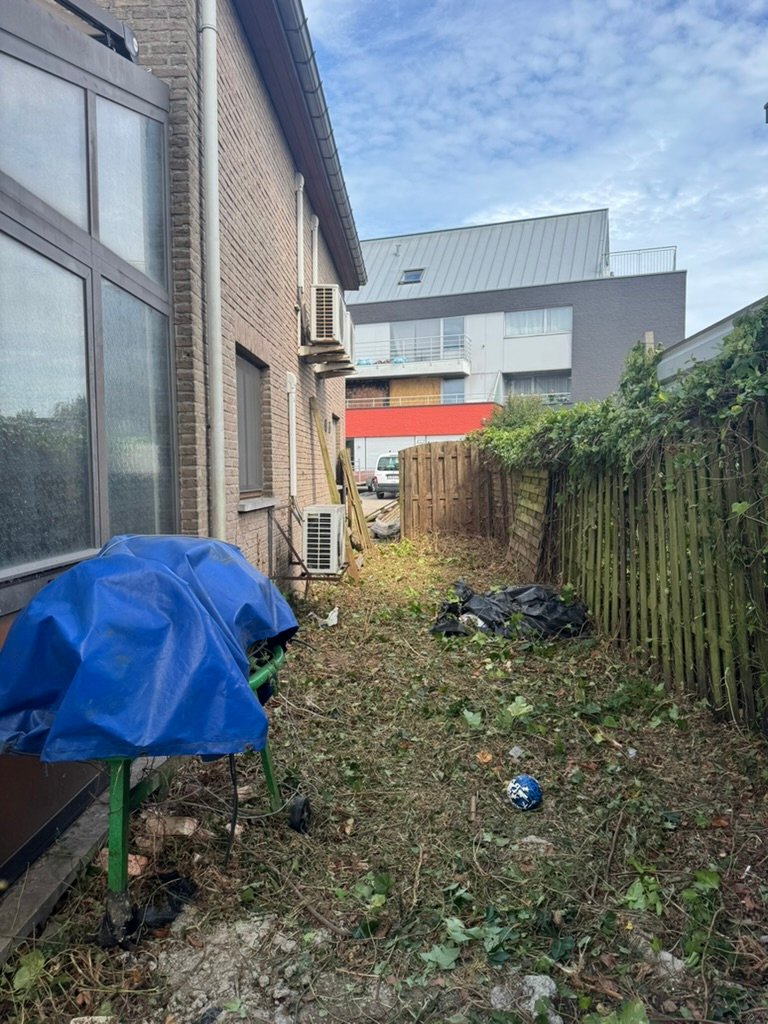 Après, Remise en état, bambous & envahissants