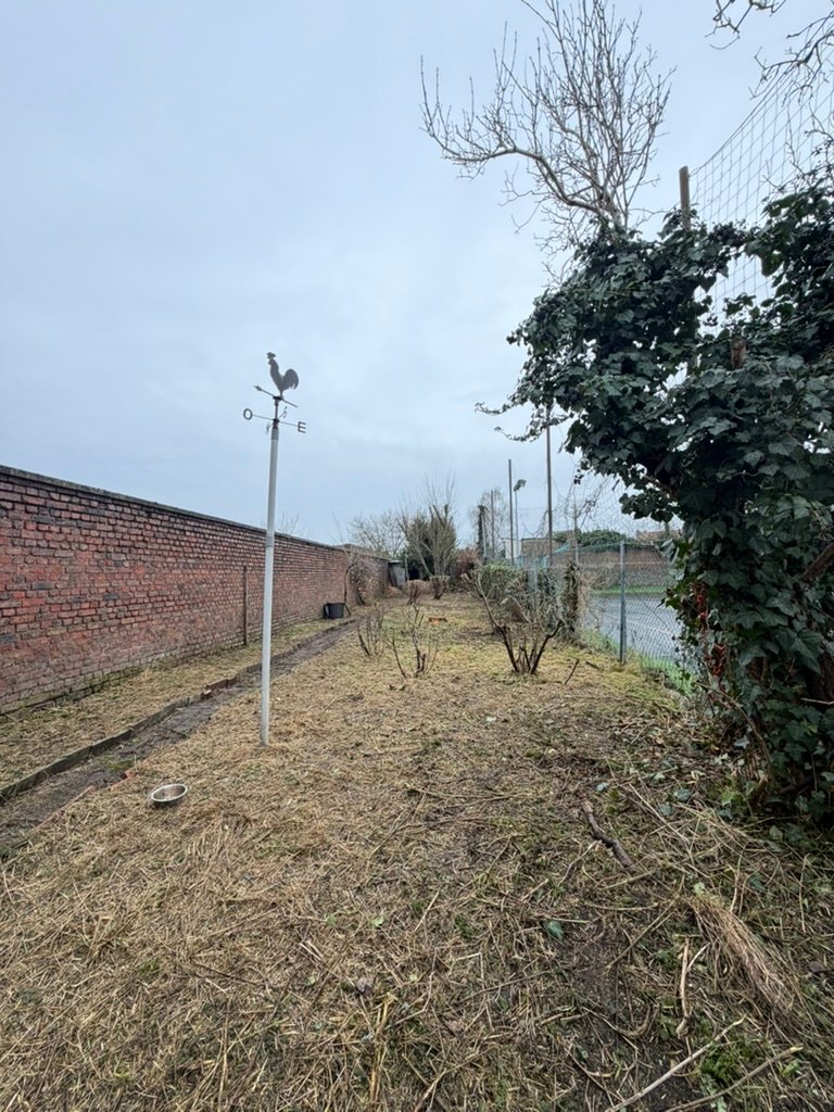 Après, Nettoyage & restructuration de jardin