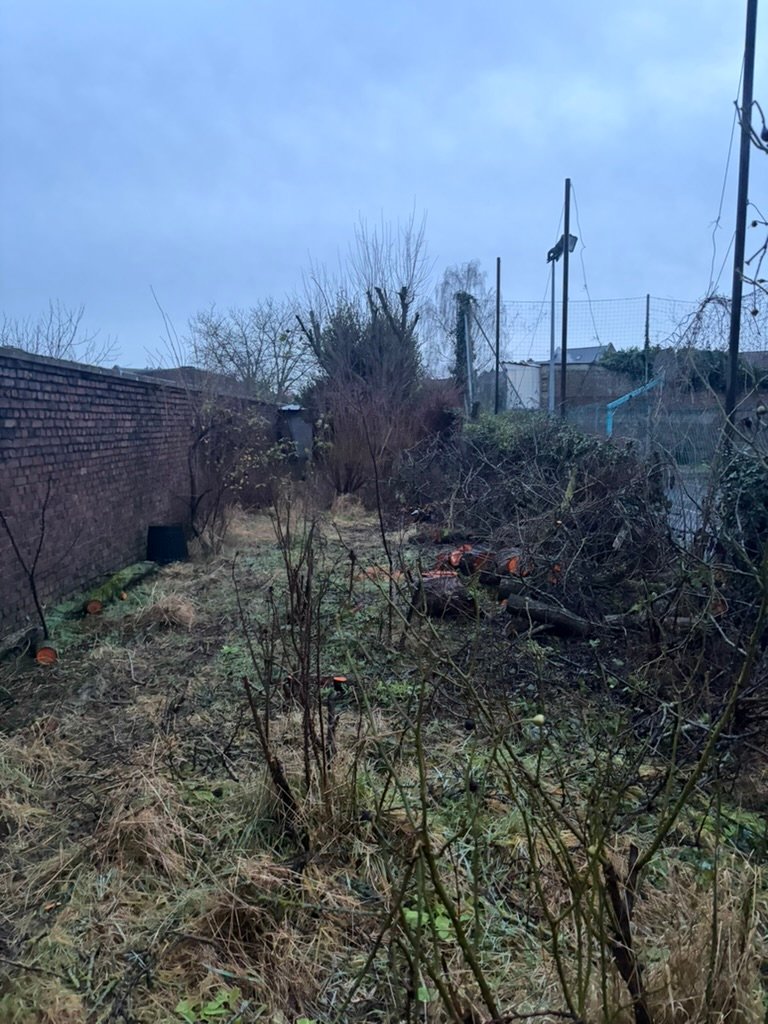 Avant, Nettoyage & restructuration de jardin