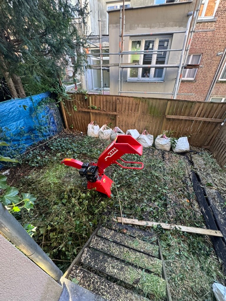 Jardin avant intervention